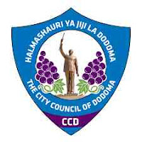 Dodoma City Council